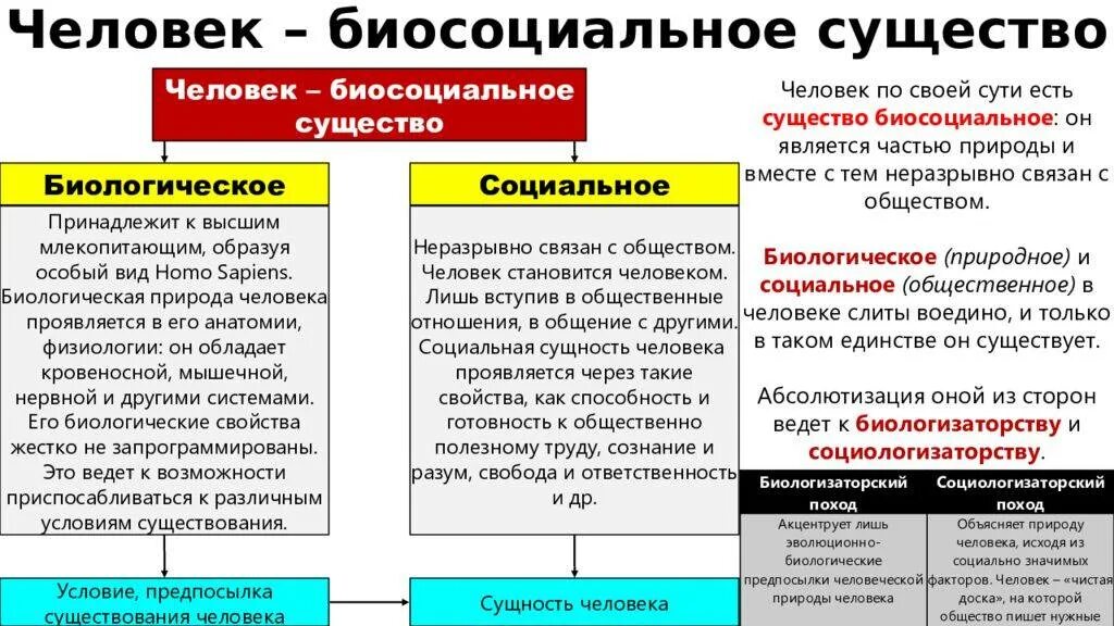 Явления в обществе пример. Природная и социальная сущность человека. Социальная природа человека это Обществознание. Особенности биосоциального человека. Человек биосоциальное существо.