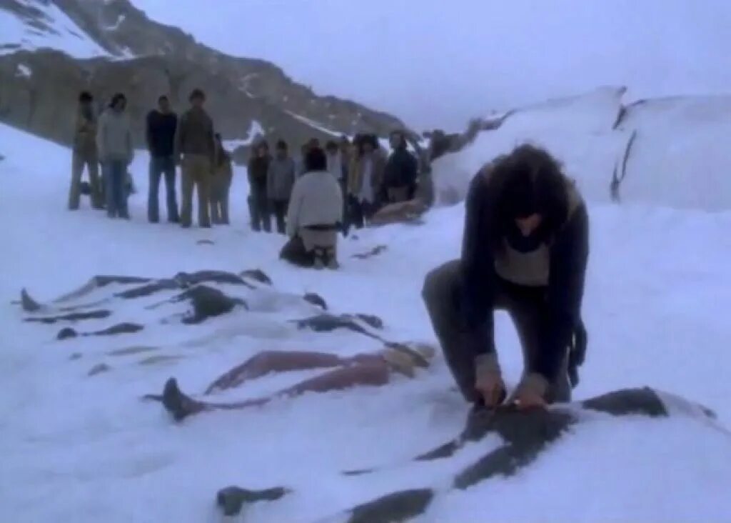 Выжить про авиакатастрофу. Самолет в джунглях. Выжить про авиакатастрофу. Выжить про авиакатастрофу. Катастрофа bae 146 в колумбии.