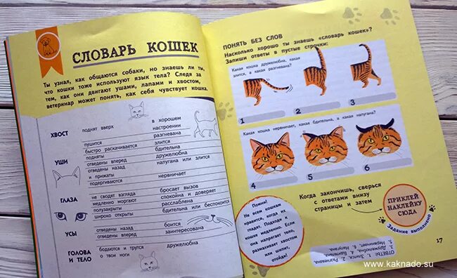 Словарь кошек. Кошачий язык словарь. Язык кошек словарь. Разговаривать на кошачьем языке.