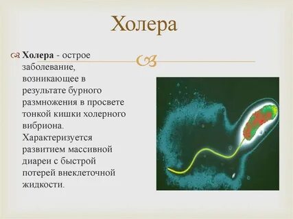Холера какая инфекция