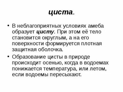 Амеба образует цисту