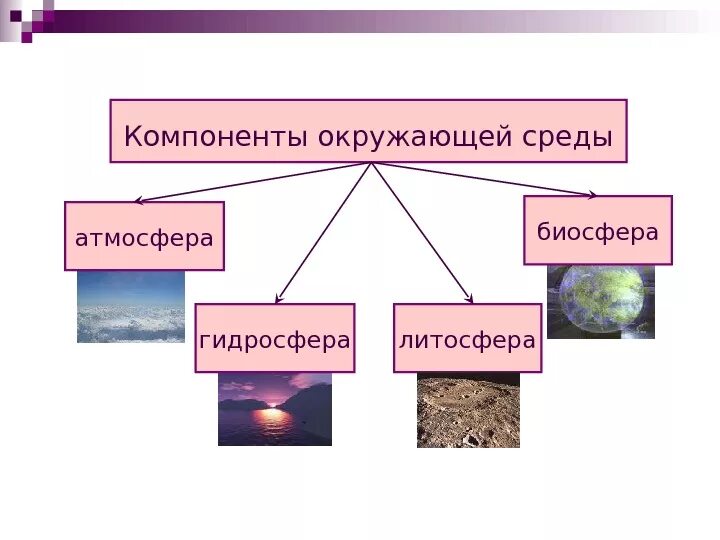 Окружающее являться. Компоненты окружающей среды. Компоненты окружающей среды человека. Компоненты окружающей природной среды. Основные составляющие окружающей среды:.