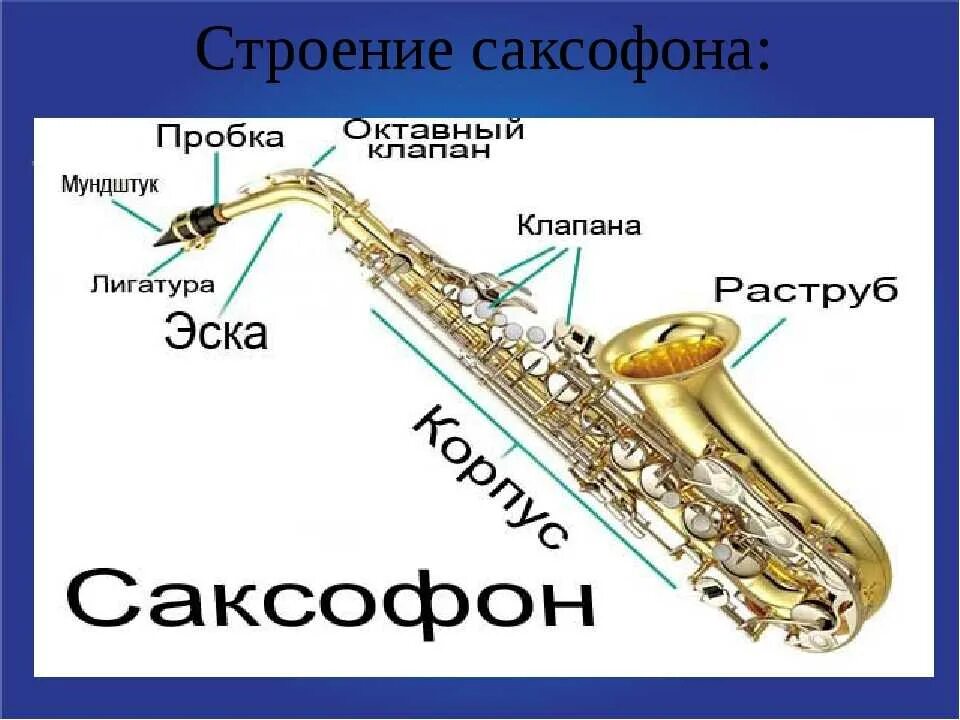 Почему саксофон. Строение саксофона Альта. Строение саксофона. Детали саксофона. Раструб саксофона.