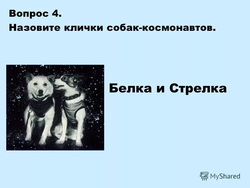 Клички собак в космосе. Клички собак Космонавтов. Белка и стрелка клички щенков. Собаки космонавты имена. В космосе побывали собаки клички которых.