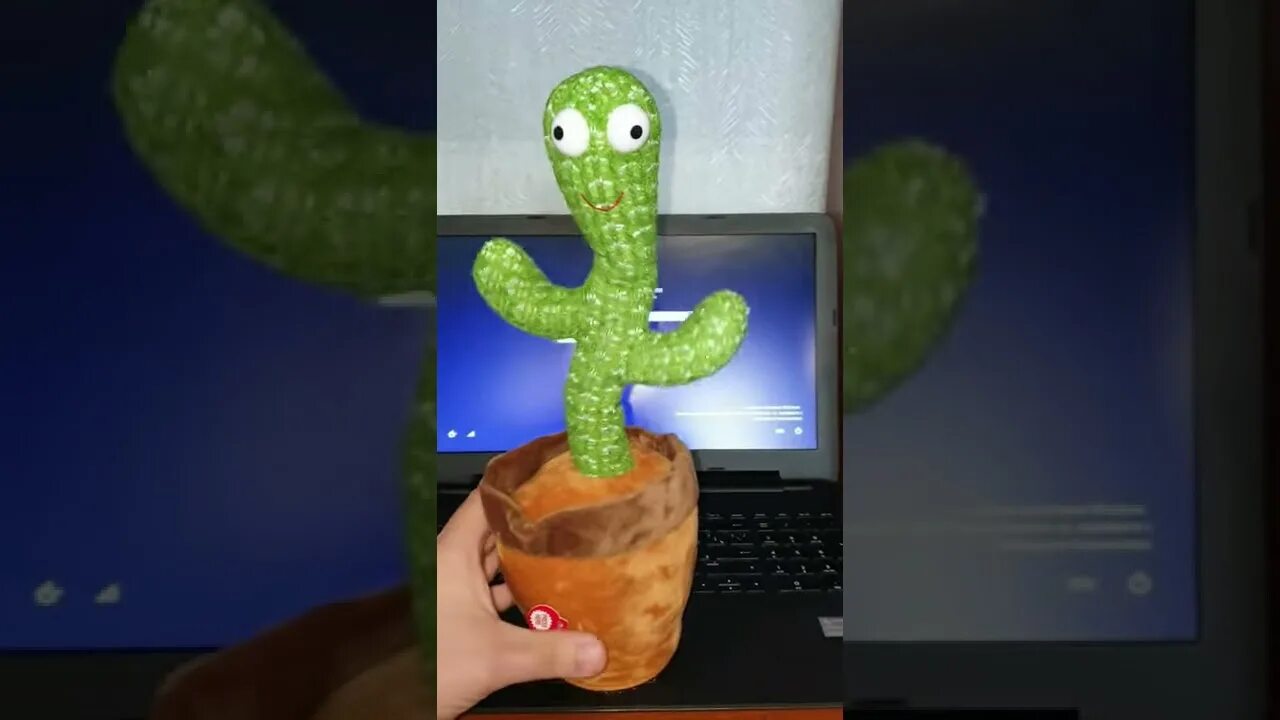 Кактус в разрезе. Кактус. Кактус хаги ваги. Веселый кактус игрушка. Включи кактус где.