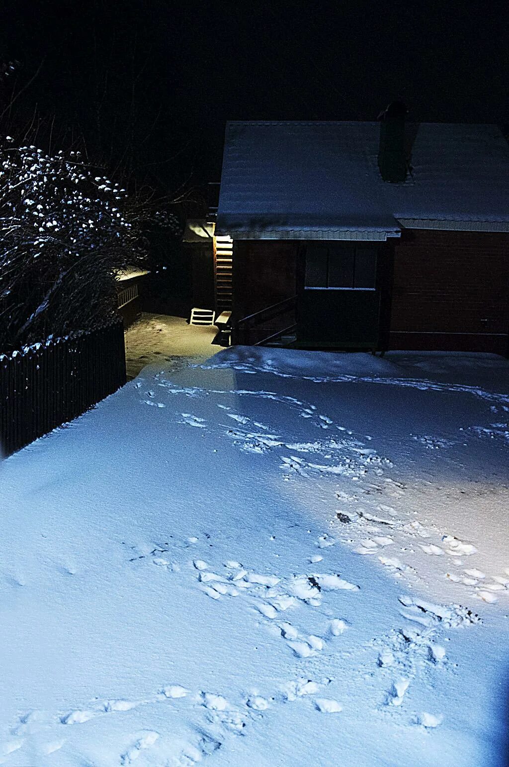 реальный снег