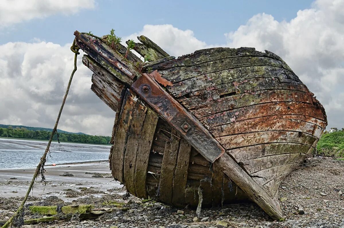 Остов техники. Затонувшие корабли в Онежском озере. Баркас лодка. Старая лодка. Старые деревянные корабли.