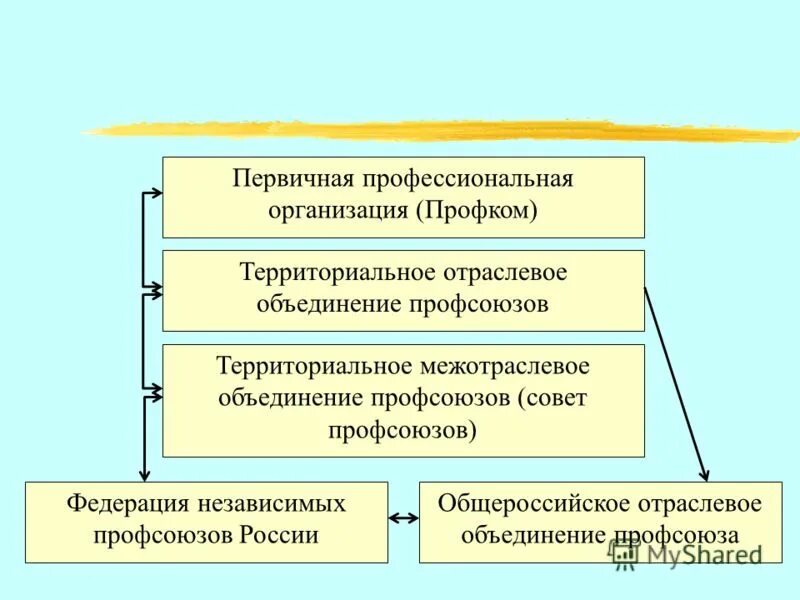 Функции организаций работодателей