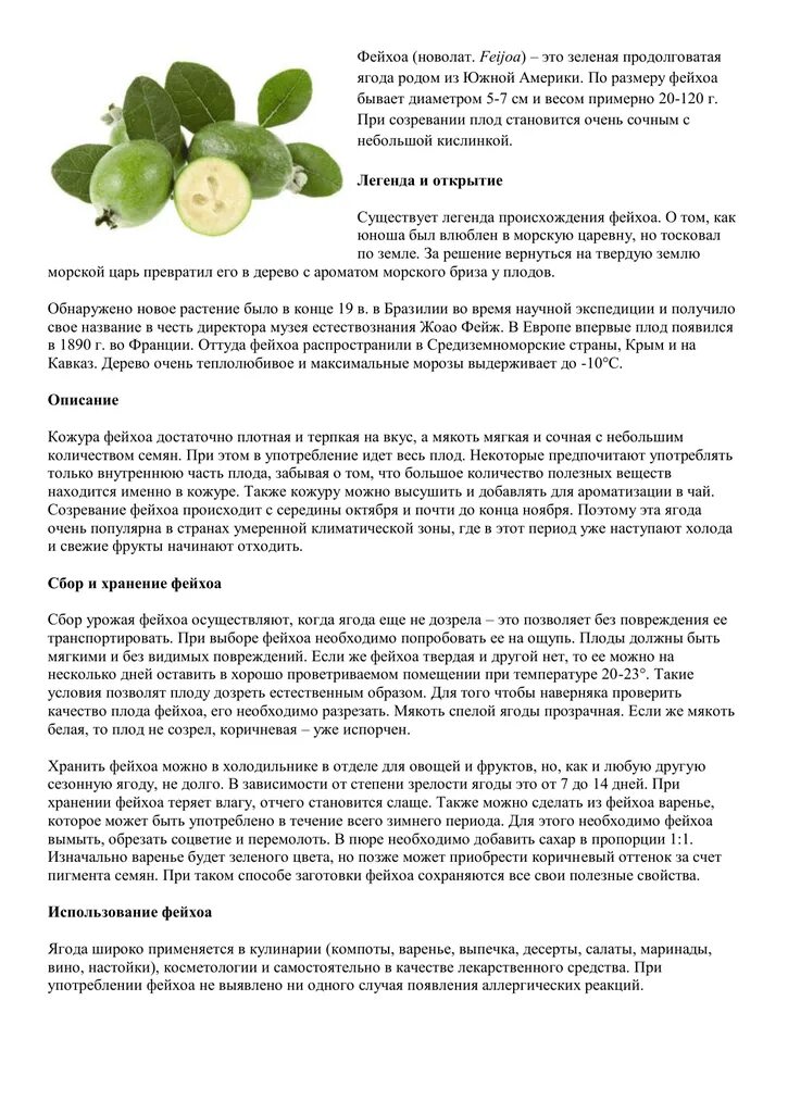 Фейхоа кбжу. Витамины содержащиеся в фейхоа. полезность фейхоа для организма. фейхоа содержание витаминов. фрукт фейхоа описание.
