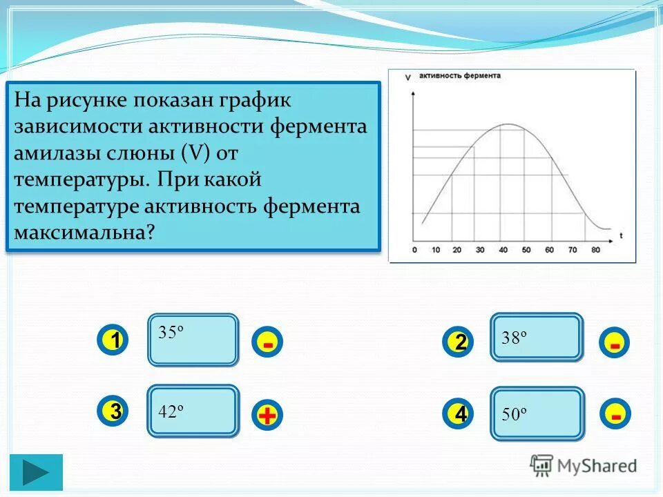 График зависимости фермента от температуры. График зависимости активности ферментов от температуры. График зависимости активности амилазы слюны от температуры. (Нарисуйте график зависимости активности ферментов от температуры). Влияние температуры на активность амилазы слюны.