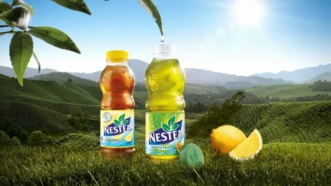 Нести какой вид