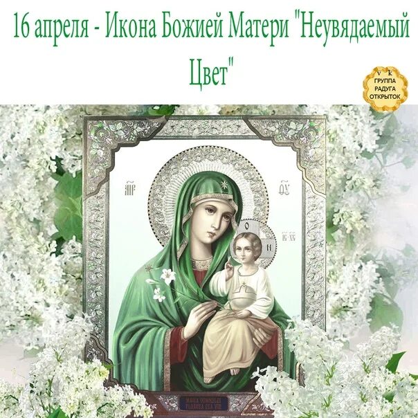 Праздник иконы Божией матери «Неувядаемый цвет». 16 Апреля икона Неувядаемый цвет. 16 Апреля день иконы Божией матери Неувядаемый цвет. Икона Казанской Богоматери Неувядаемый цвет.