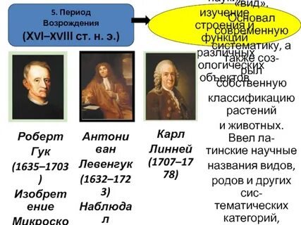 Ученые эпохи возрождения биология