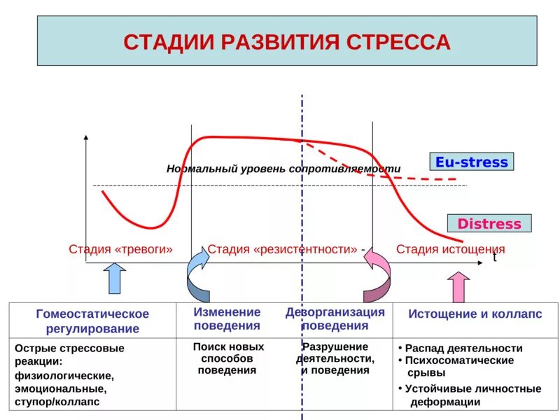 Нарастание признаков. Схема развития стресса по Селье. Фазы психического стресса схема. Стадии тревоги при развитии стресса. Последовательность стадий стресс-реакции:.