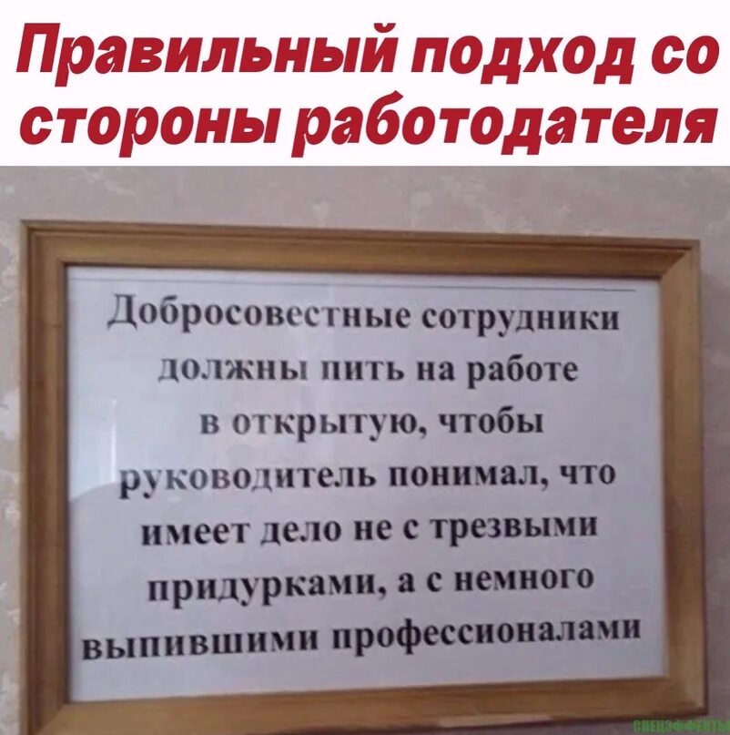 Надо прекратить пить. Добросовестные сотрудники должны. Пить на работе. Добросовестные сотрудники должны пить на работе в открытую. Работник должен пить в открытую.