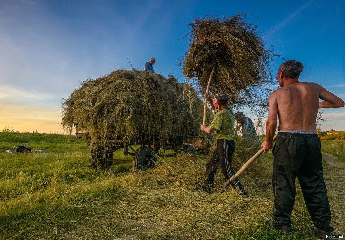 Сделай стан