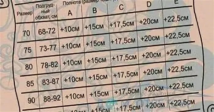 Сколько см должен быть в 12