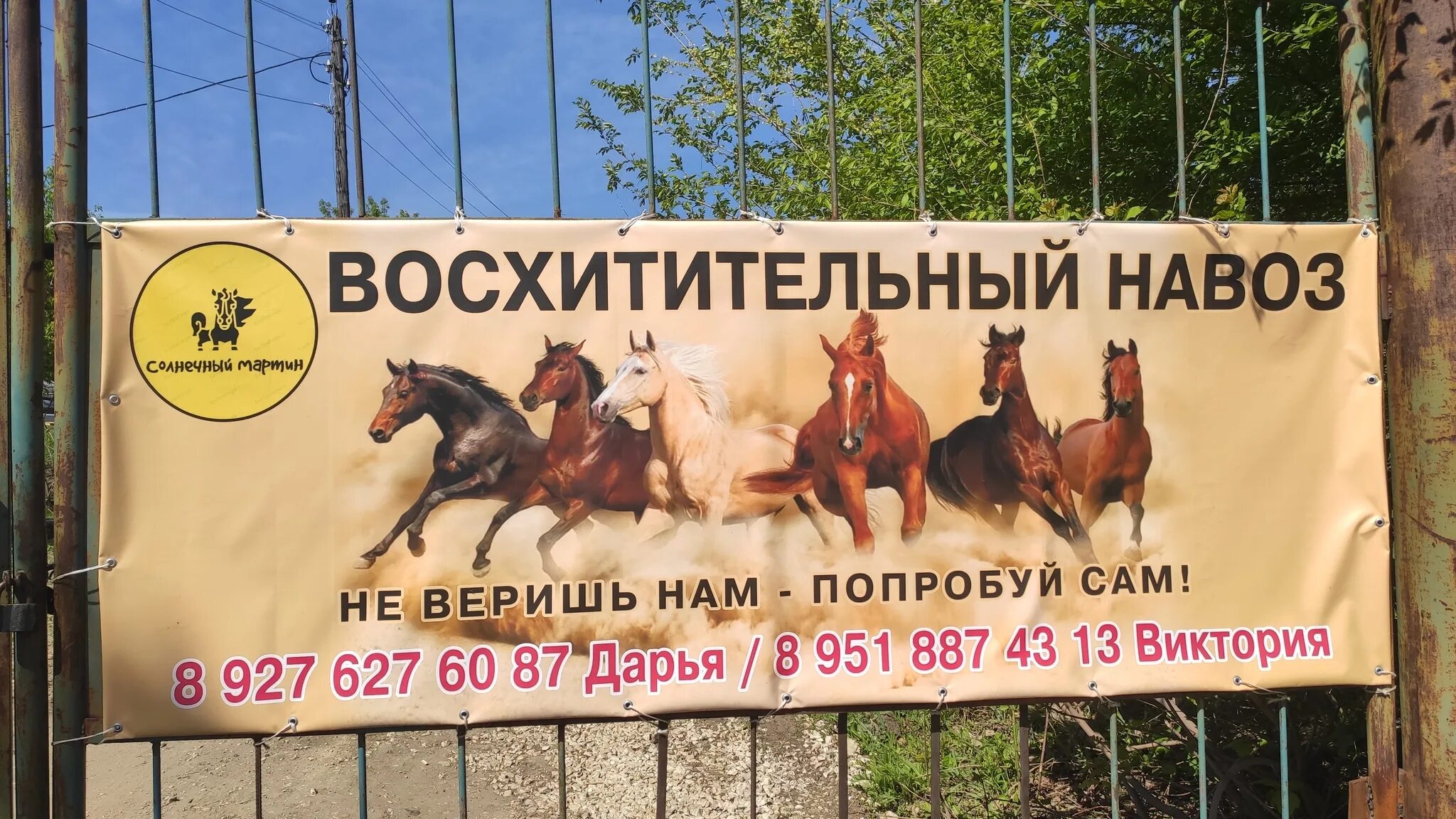 Курнула вроде не навоз песня как называется. Степные скакуны юмор. а у нас в деревне лайки не ставят понравилась баба привёз ей навоз. вроде не навоз. дунул не навоз.
