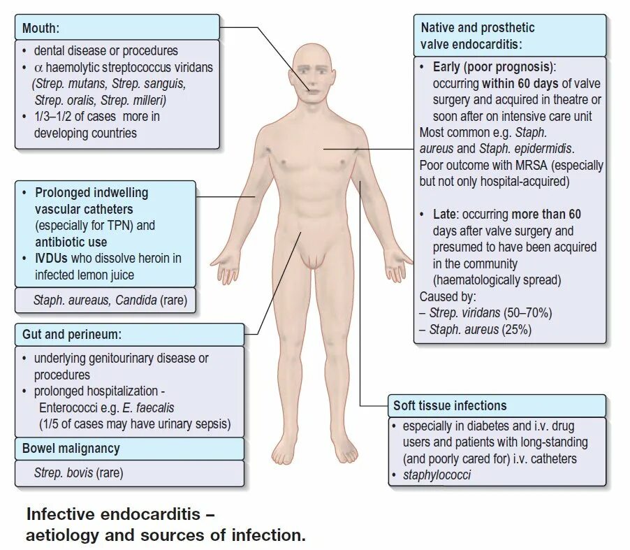 Causing infection. Causing infection