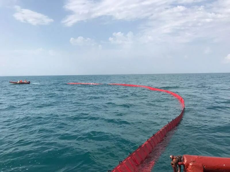 акватории океана. акватория горьковское море. дельфины в баренцевом море. акватория моря фото на баннер. комплексные учения на море.