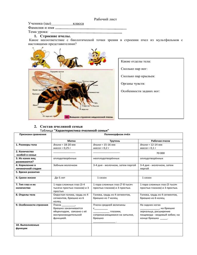 Пчела какой корень