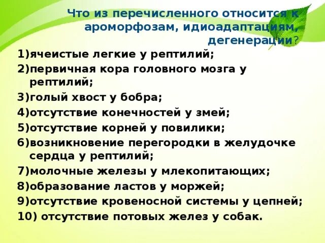 Какое изменение не относят к ароморфозу. Что из перечисленного относится к ароморфозам. Что из перечисленного является ароморфозом. Что из перечисленного является дегенерацией?. К ароморфозам относят образование.