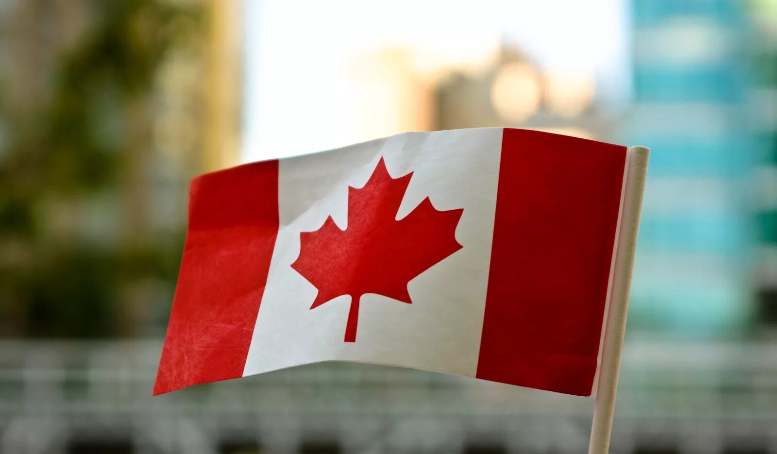 Материал канада. Корвэл канада. традиции канады. независимость канады. традиции и обычаи канады.