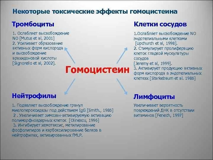 Диета для понижения гомоцистеина. Гомоцистеин норма для женщин. Питание при повышенном гомоцистеине. Норма гомоцистеина у женщин.