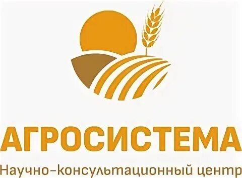 Аудит иркутск