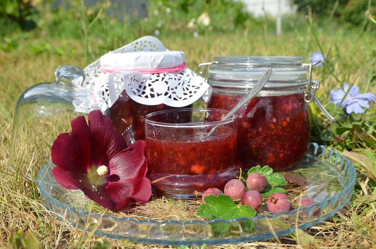 Крыжовенное варенье Пушкина. Русское варенье. Крыжовенное варенье для Островского. Пушкин и варенье из крыжовника. Сварить 3 литра варенья