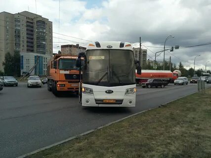 Автобус хлевное липецк
