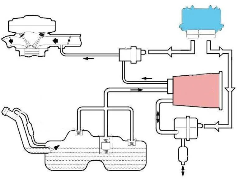 Клапан продувки адсорбера схема подключения. Адсорбер в автомобиле схема подключения. Адсорбер системы улавливания паров топлива. Система улавливания паров топлива w210 клапан. Абсорбер топлива