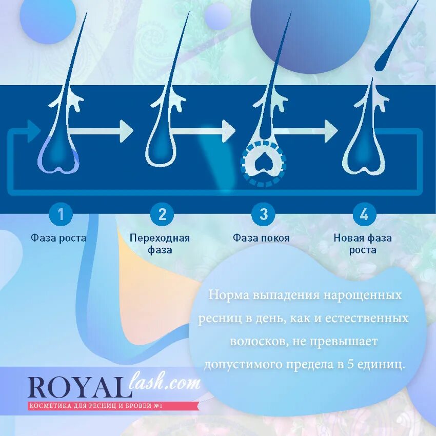 От выпадения ресниц. Норма выпадающих ресниц в день. Цикл роста ресниц и выпадения.