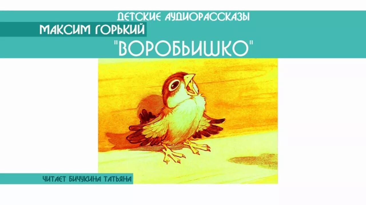 Произведение м горького воробьишко. Чтение Воробьишко Горького. Макс Горький воробьи шка.