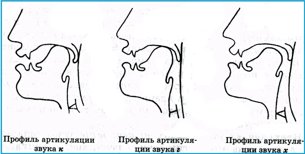 Артикуляция г. Профили артикуляции заднеязычных звуков. Логопедические профили артикуляции. Схемы артикуляции звуков. Артикуляция звука г.