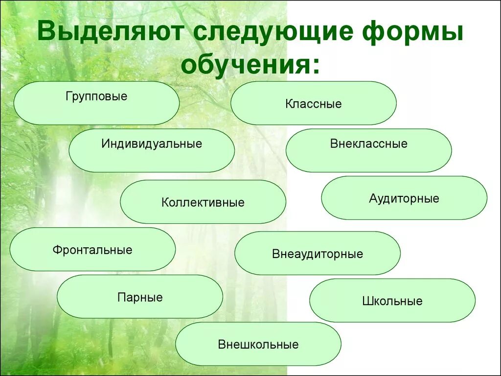 Урок как основная организация обучения. Формы организации обучения схема. Какие бывают организационные формы обучения. Формы обучения в педагогике. Какие бывают формы обучения в педагогике.