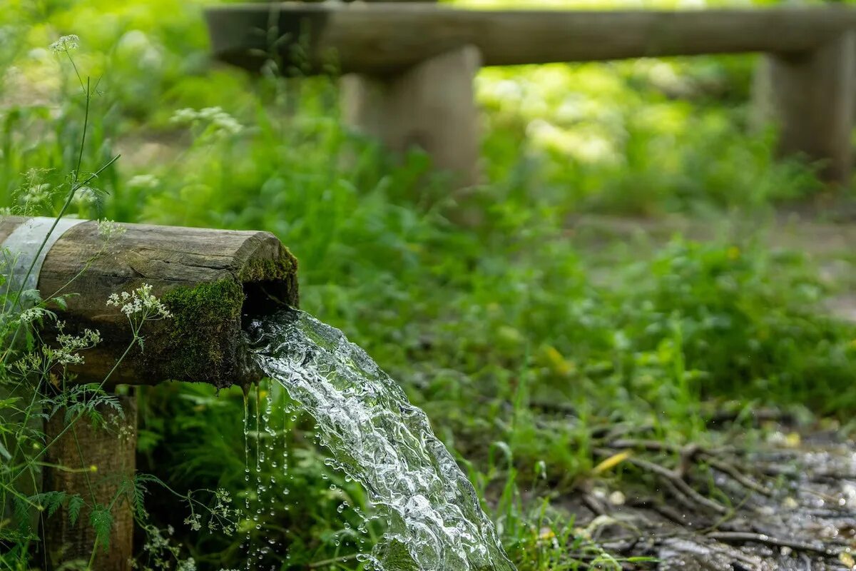 Живая вода родников. International water day. Родниковая вода. Живая вода родников. Родник с живой и мертвой водой в шапсугской.