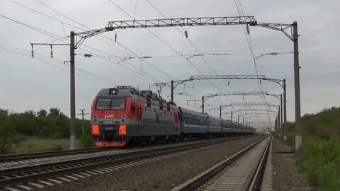 Адлер староминская