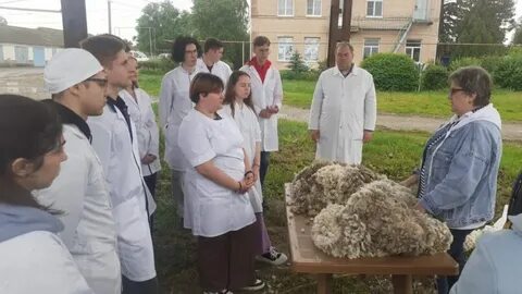 Зооинженерный факультет мсха