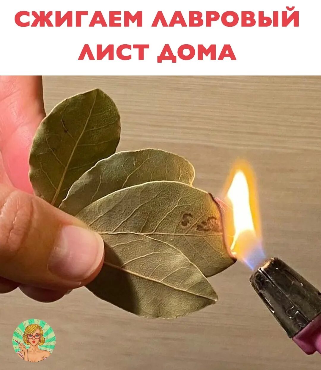 Зачем нужно поджигать лавровый лист. Зачем нужно поджигать лавровый лист