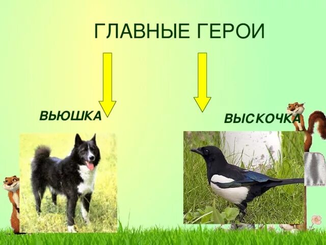 Тест по чтению выскочка