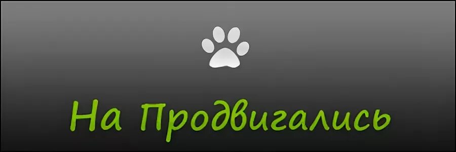 Сайт тоже