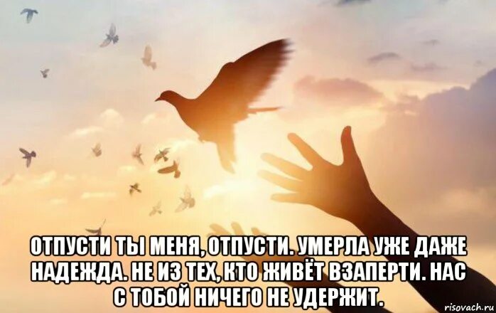 уходит грустный. смешные истории с котами. пока пока я спать. давай пока я ухожу. мотиваторы для расставания.