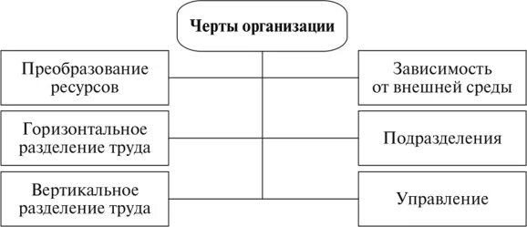 Характерные особенности организации. Черты организации. Общие черты организации. Основные черты организации. Организация отличительные черты.