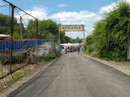 Птичий рынок воронеж