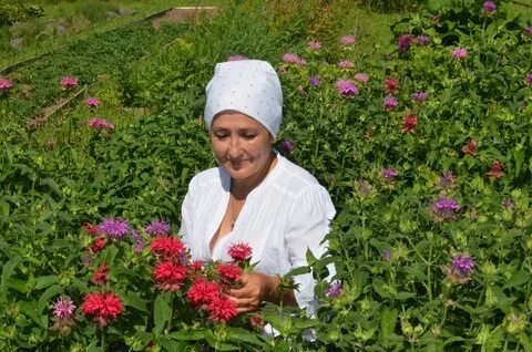 Фитотерапевт