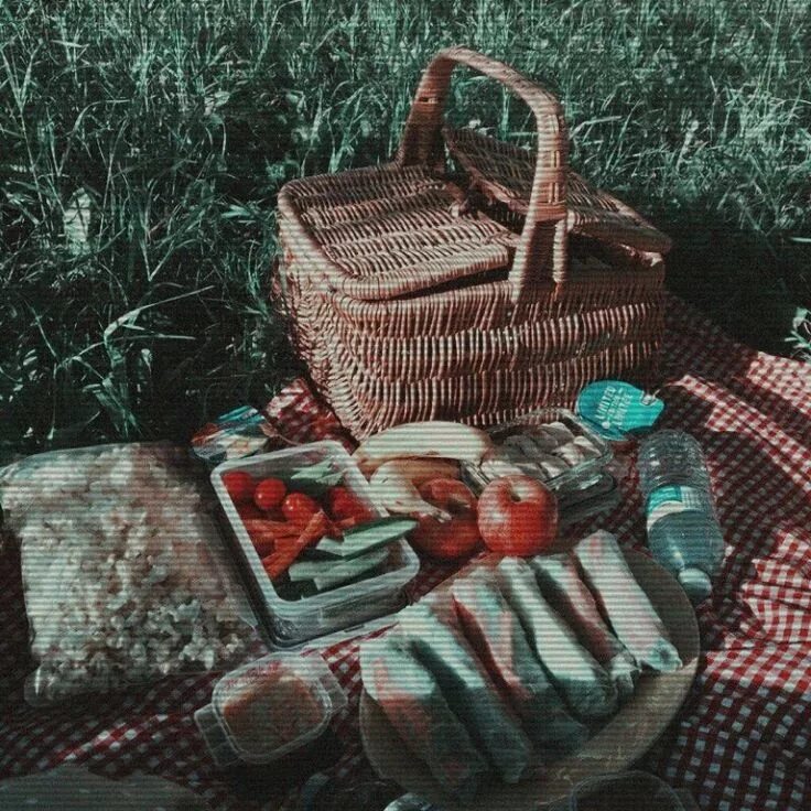 Какую еду можно взять на пикник. Пикник на природе. продукты на пикник. продукты на природу. набор продуктов для пикника на природе.