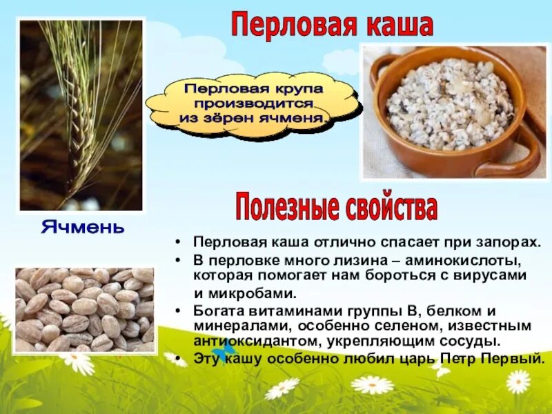 Перловая каша из какой крупы. Перловая крупа презентация. перловая каша презентация. каши при запоре. презентация -перловая каша для детей.