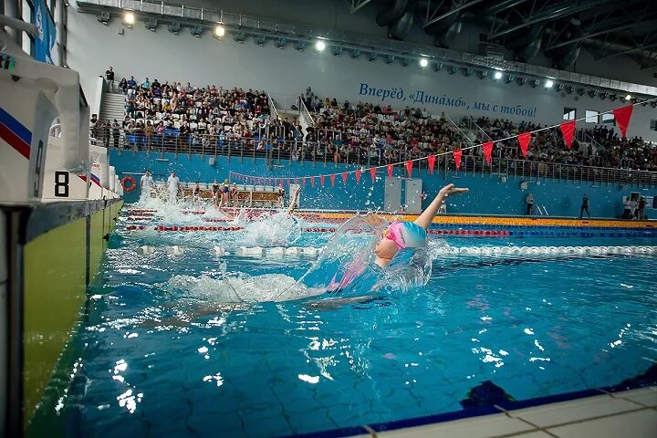 водный стадион динамо. водный стадион динамо. дворец спорта динамо на водном стадионе. бассейн динамо в москве на водном стадионе. бассейн динамо водный стадион малыши бассейн.