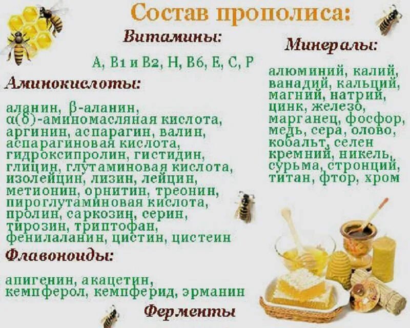 Использование прополиса. Состав прополиса пчелиного. чем полезен прополис. прополис состав. из чего состоит прополис.